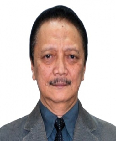 Waluyo Nugroho H